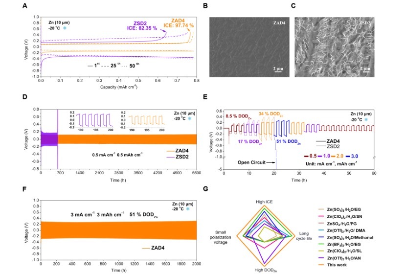 圖為零下20攝氏度環(huán)境下鋅金屬負極的電化學性能。（研究團隊供圖）.jpg